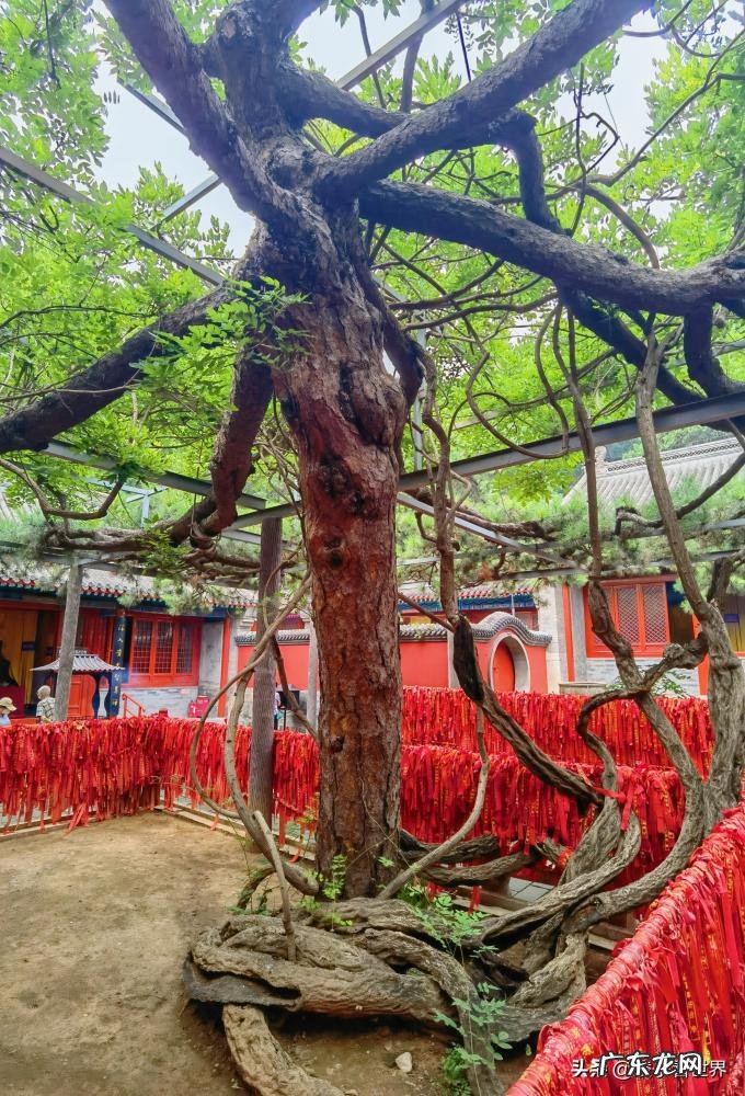 红螺寺景区打卡攻略图 红螺寺游玩路线