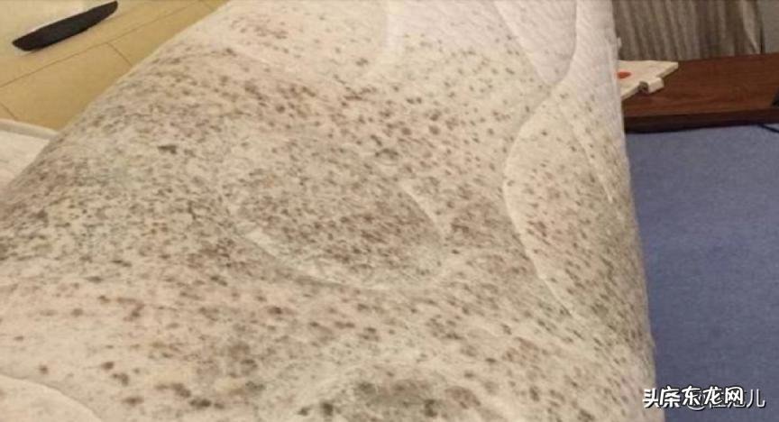 为什么贵的床垫都很软的 床垫是越软越贵吗