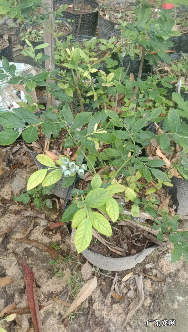 怎么进入官网买东西 怎么从网上买东西?