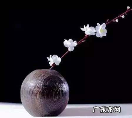 伏羲骨还有什么骨 伏羲骨怎么判断