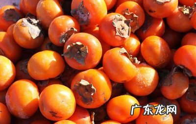 柿子的功效与作用及副作用禁忌 柿子的功效与作用禁忌