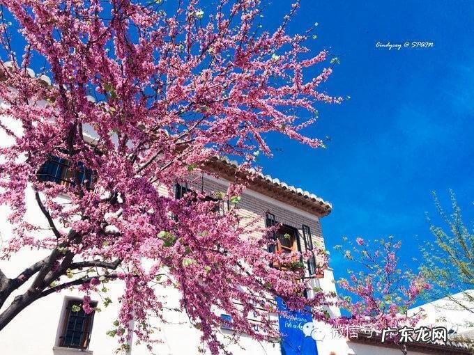 摩尔公寓 摩尔家园