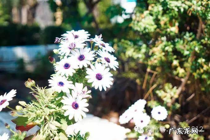 摩尔公寓 摩尔家园