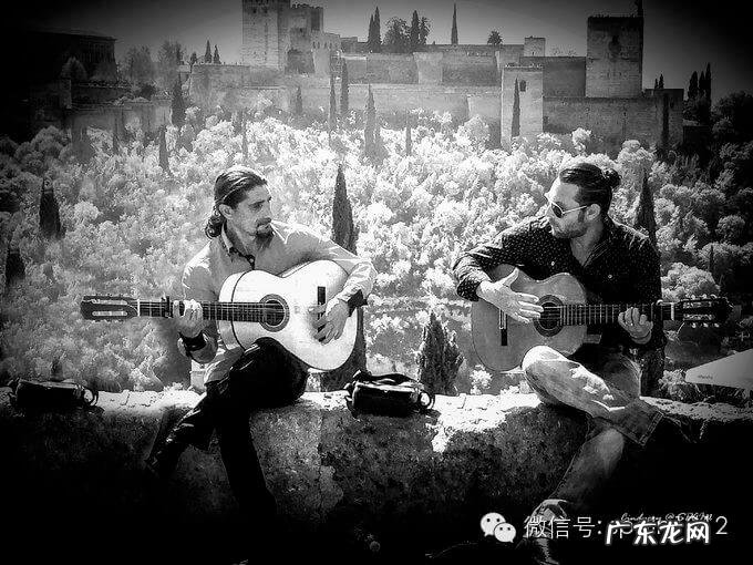 摩尔公寓 摩尔家园