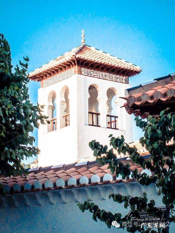 摩尔公寓 摩尔家园