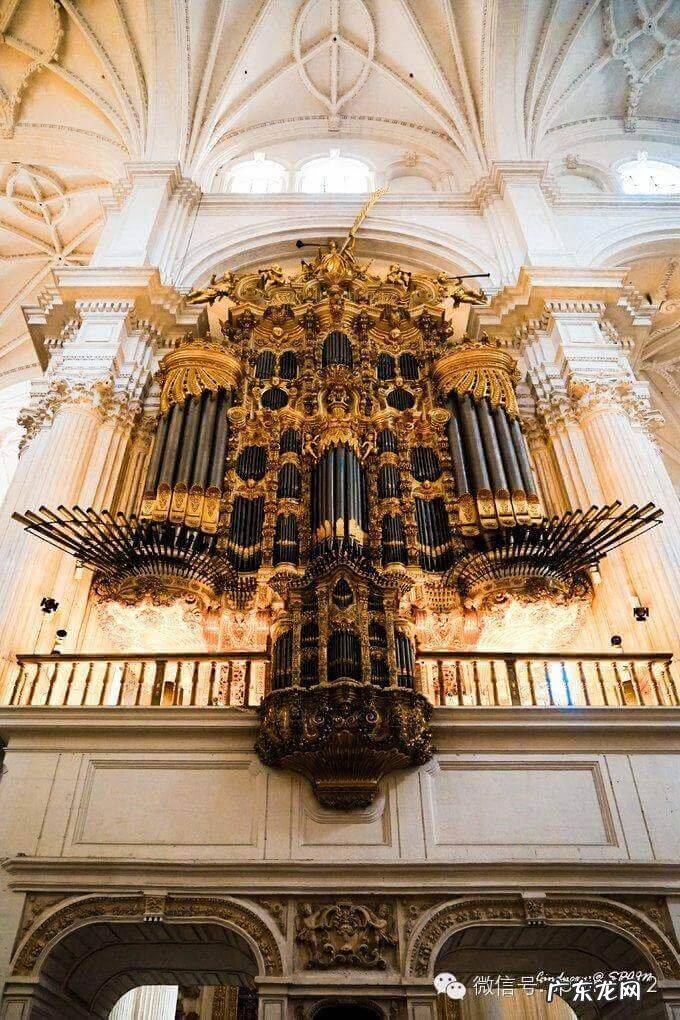 摩尔公寓 摩尔家园