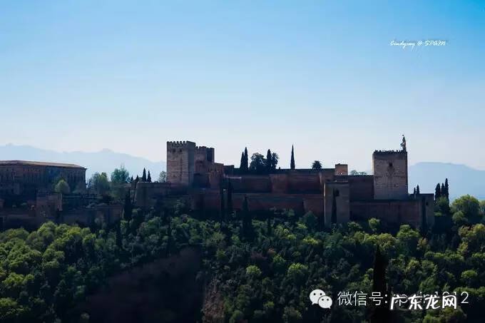 摩尔公寓 摩尔家园