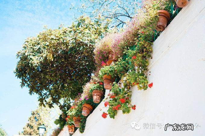 摩尔公寓 摩尔家园