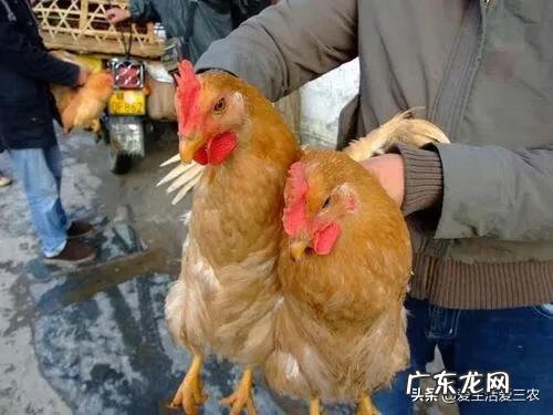 网上赚钱的门路 做生意门路