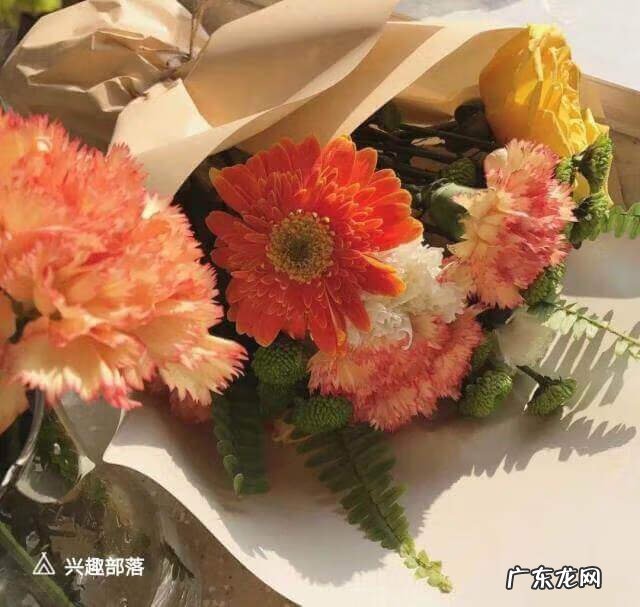 关于爱情的感悟 关于爱情的文案