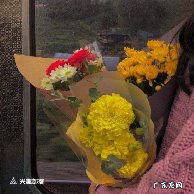 关于爱情的感悟 关于爱情的文案