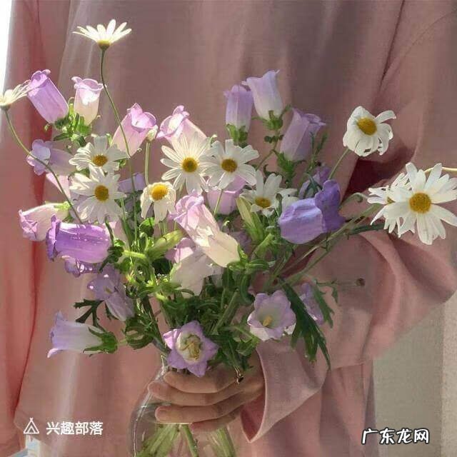 关于爱情的感悟 关于爱情的文案