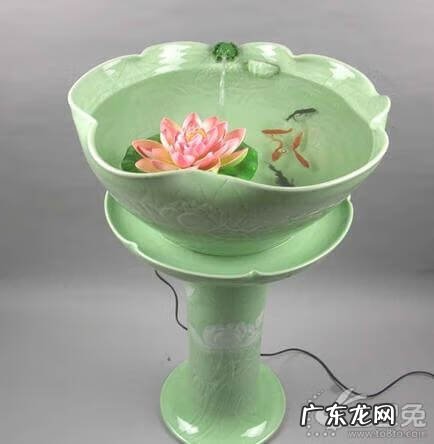 风水鱼颜色有讲究吗 风水鱼什么颜色最好