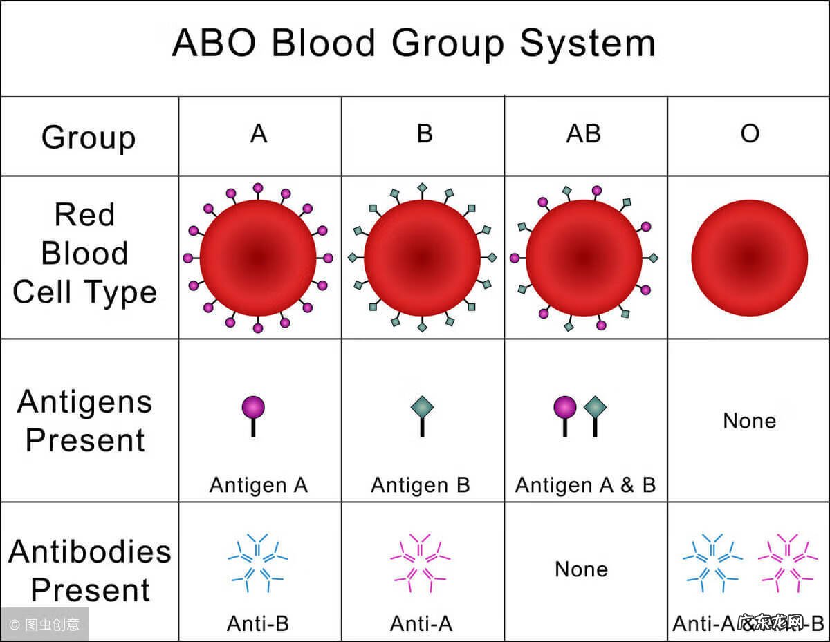 父亲0型母亲B型孩子什么血型 A型血与o型血生的孩子是什么血型