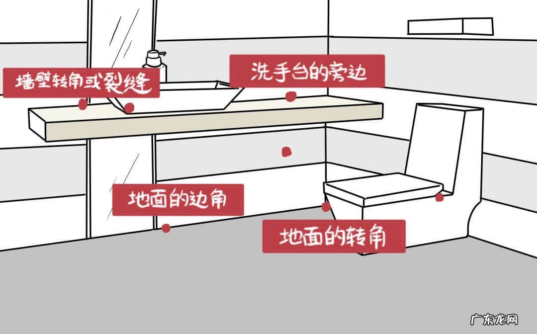 如何杀蟑螂最有效 杀蟑螂最有效的方法是什么