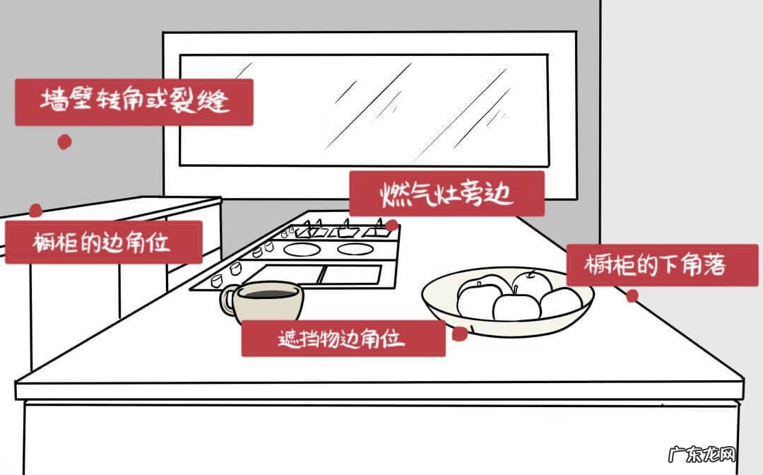 如何杀蟑螂最有效 杀蟑螂最有效的方法是什么