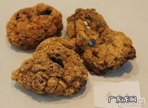 紫河车的作用与功效 紫河车是什么东西