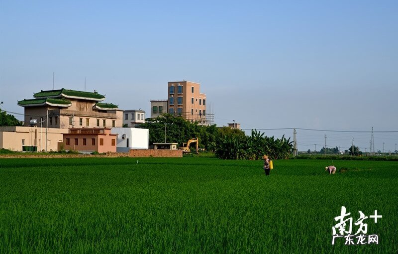 湛江吧 湛江霞山北月风水塘