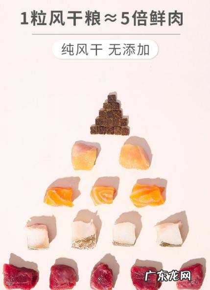 网易严选和猫大圣猫粮哪个好 猫大圣猫粮好不好吃