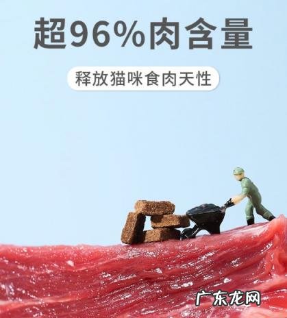 网易严选和猫大圣猫粮哪个好 猫大圣猫粮好不好吃