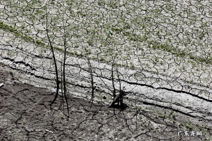 武汉体育学院346真题 武汉体育学院347真题