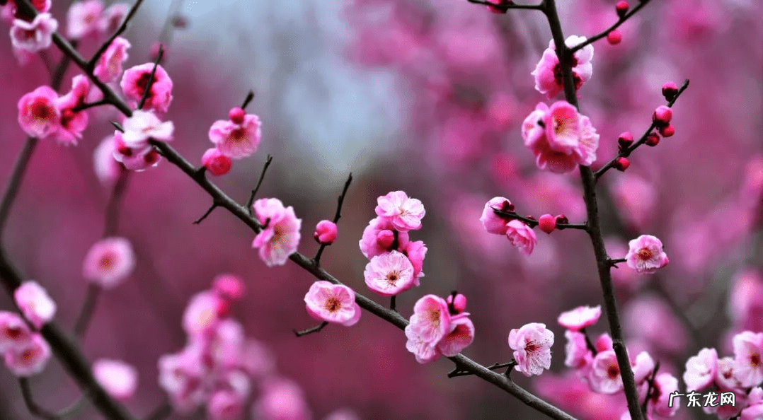 武汉体育学院346真题 武汉体育学院347真题