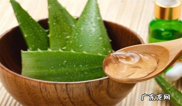 美容护肤小方法 蜂蜜美容护肤小知识