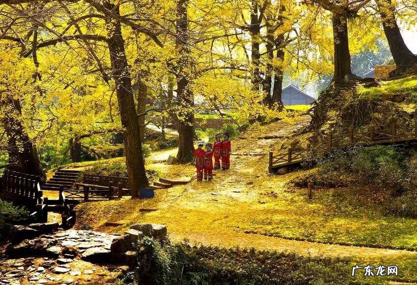 11月份适合去哪里玩 11月份去哪旅游好呢