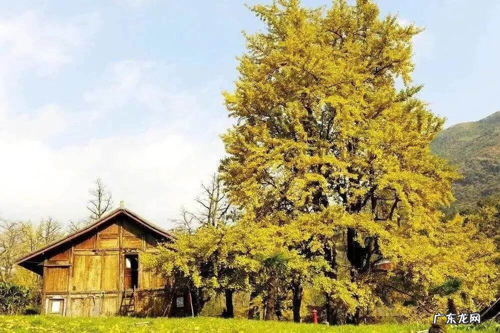 11月份适合去哪里玩 11月份去哪旅游好呢