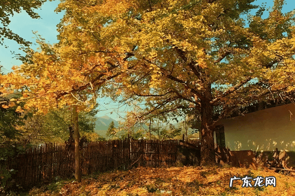 11月份适合去哪里玩 11月份去哪旅游好呢