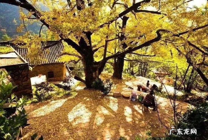 11月份适合去哪里玩 11月份去哪旅游好呢