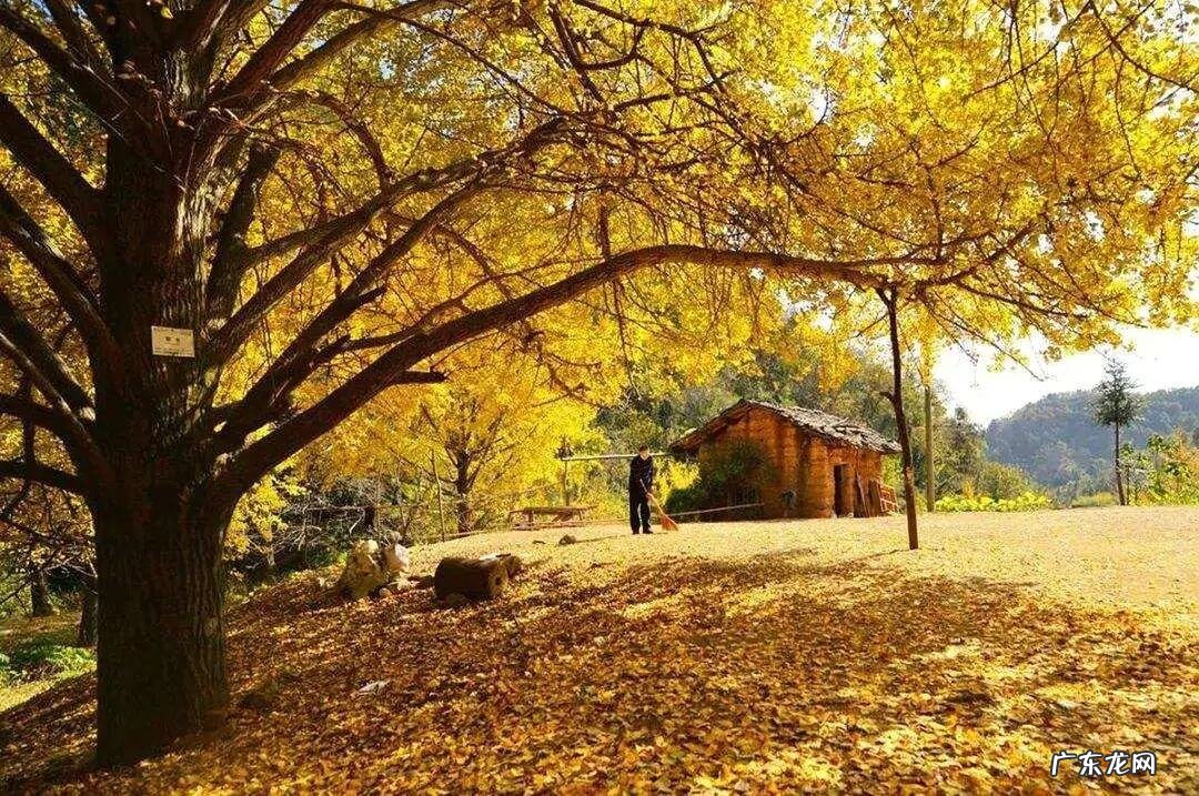 11月份适合去哪里玩 11月份去哪旅游好呢