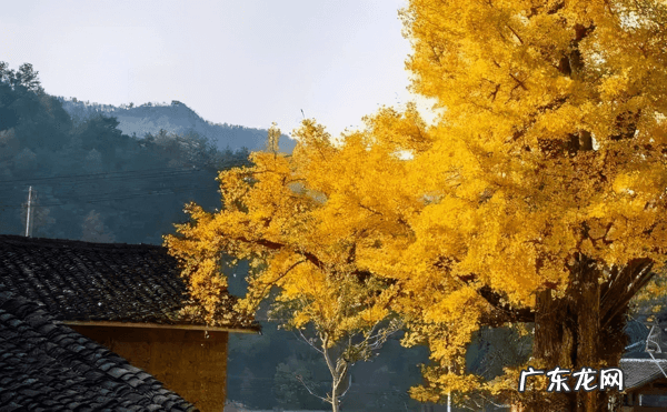 11月份适合去哪里玩 11月份去哪旅游好呢