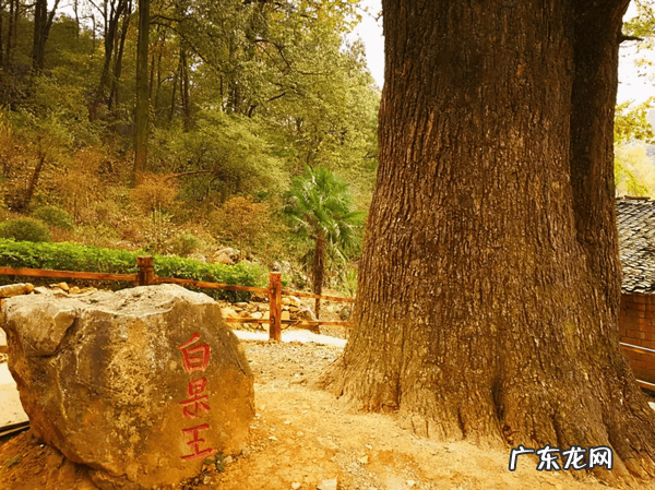 11月份适合去哪里玩 11月份去哪旅游好呢