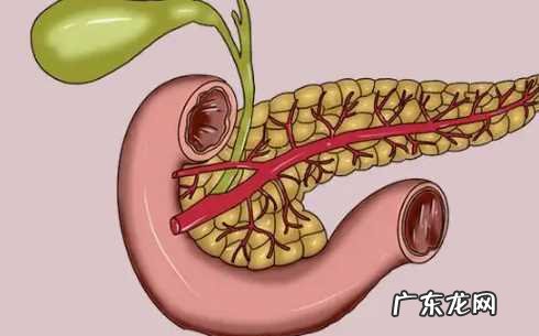 胰头肿瘤3厘米大严重不 胰头肿瘤2一3Cm属于大吗