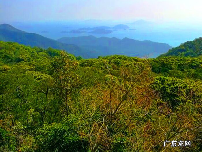 香港 天坛 大佛 香港天坛大佛在哪个区