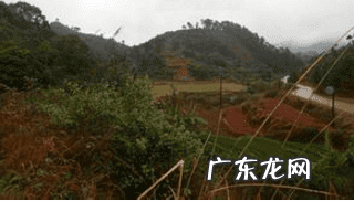 风水砂形大全 风水中生砂和旺砂对比