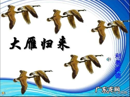 大雁归来作者对大雁作了哪些描写？