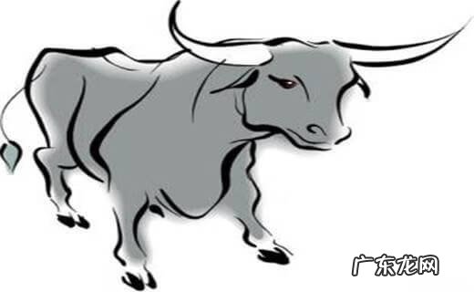 八字贵人星 风水贵人星是什么意思