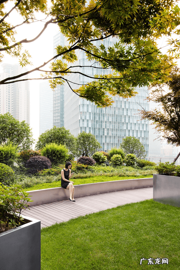 中国高楼排名 中国设计的高楼