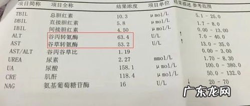 人体肝脏转氨酶正常值是多少 谷丙转氨酶正常值是多少范围