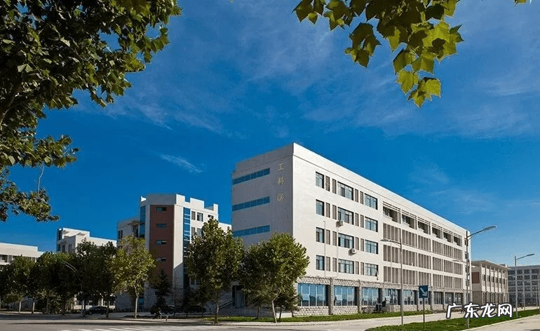 河南农业大学 河南科技大学农林专业有哪些