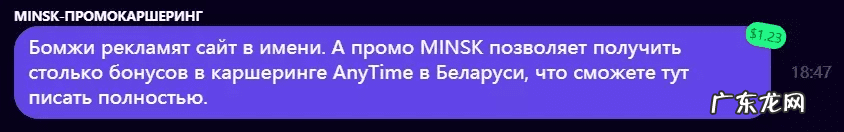 点子网地址 点子网络官网