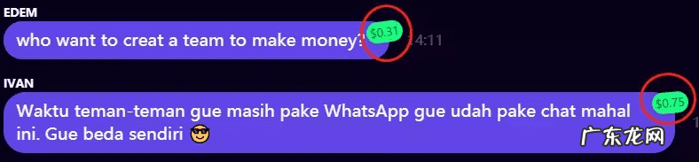 点子网地址 点子网络官网