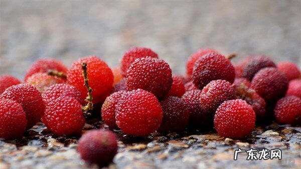 椰子汁会上火吗 杨梅上火么