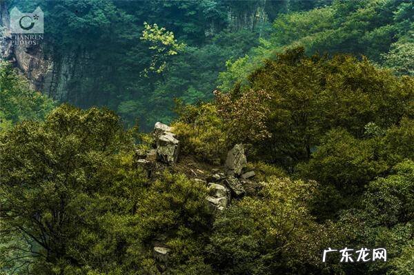 高鼎简介 中华皇家风水高鼎论