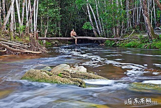 亚洲黑鱼在亚马逊河能泛滥吗?