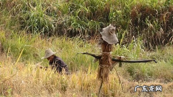 罗经盘图片 风水学罗盘经