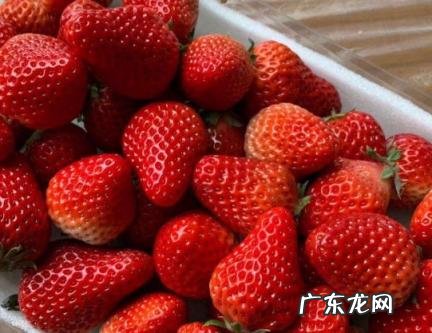 丹东草莓每年几月份有 丹东草莓每年几月份有花