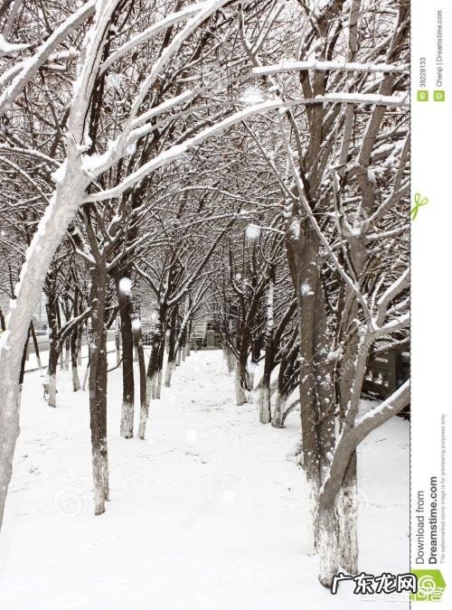 俗话说瑞雪兆丰年,好像不下雪,年味也会少许多,快过年了你那里下雪了?